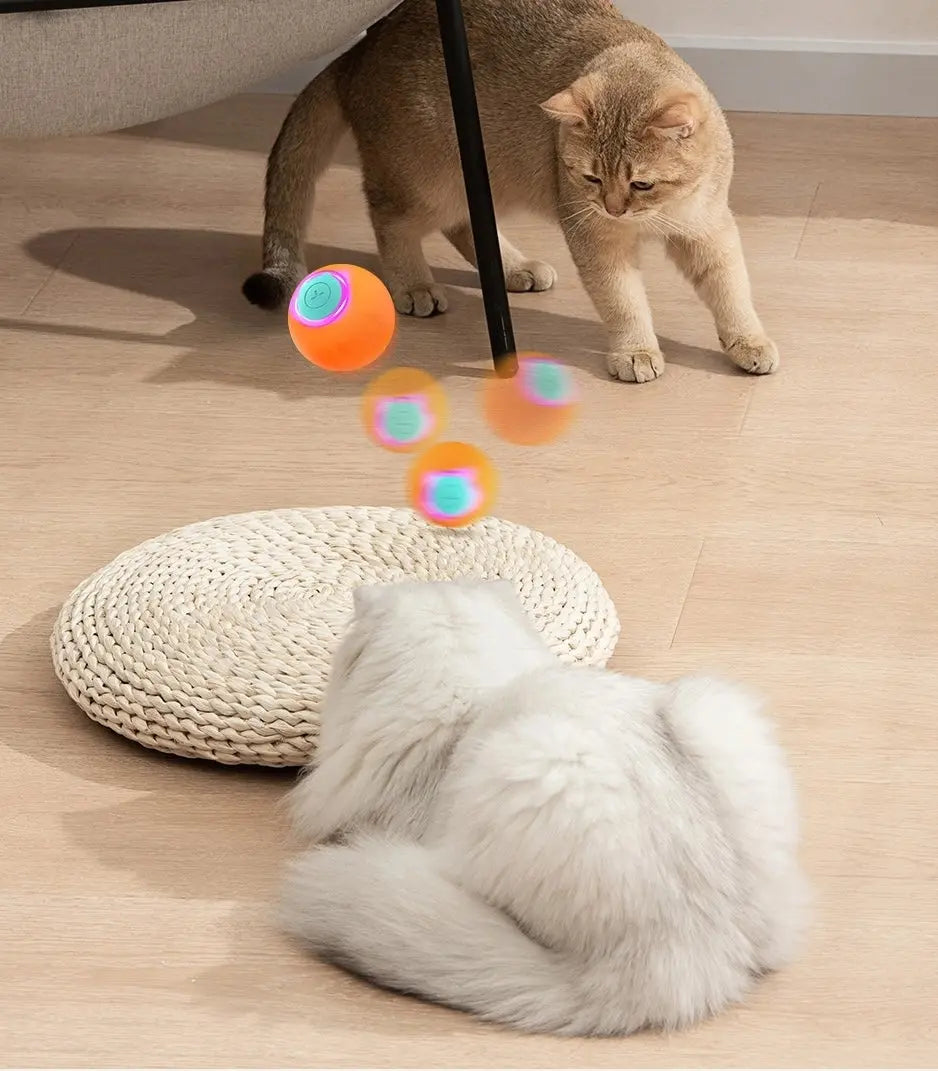 Jeux pour chat - Balle rebondissante intelligente