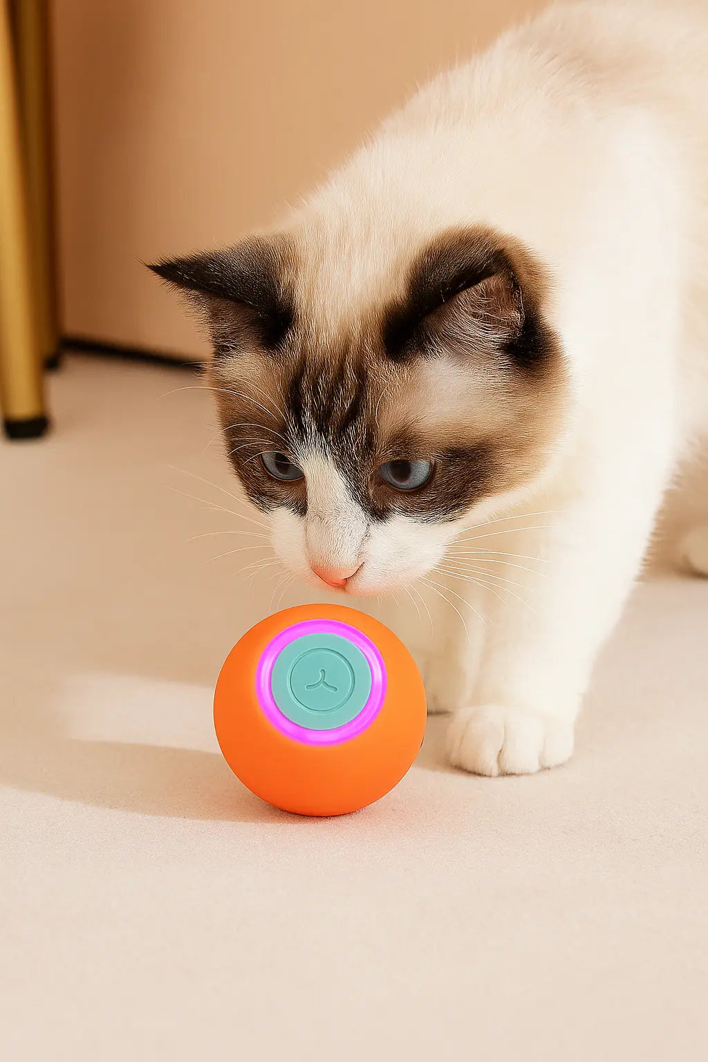 Jeux pour chat - Balle rebondissante intelligente