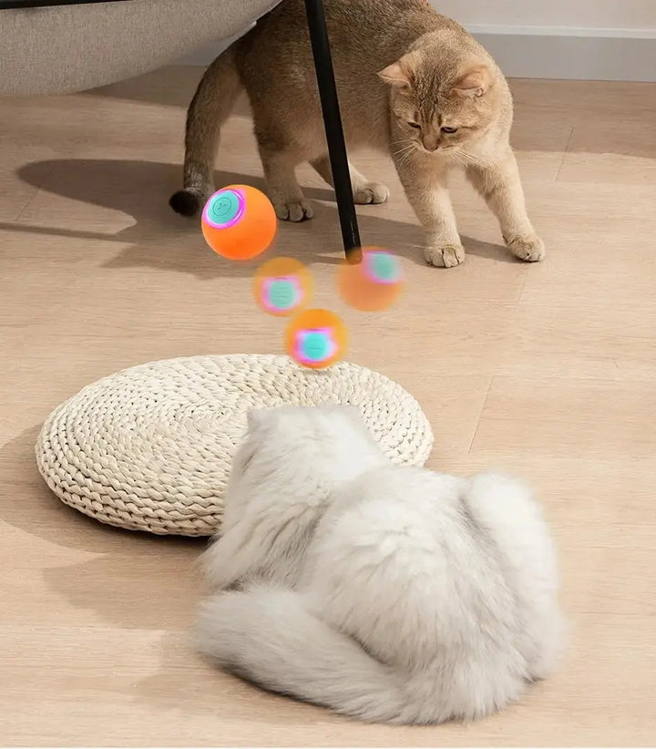 Pourquoi les chats d’intérieur ont besoin de jeux interactifs au quotidien