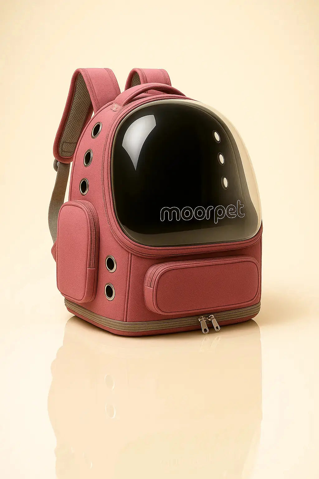 Sac pour chat Transparent pour Chat Lifecatlike