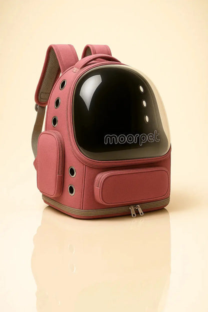 Sac pour chat Transparent pour Chat Lifecatlike