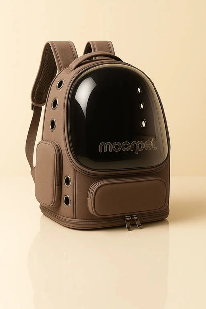 Sac pour chat Transparent pour Chat Lifecatlike