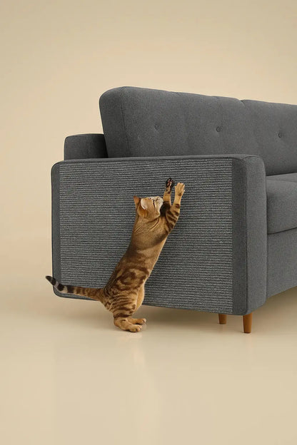 Tapis anti-griffes pour chat protection canapé mur et mobilier Lifecatlike