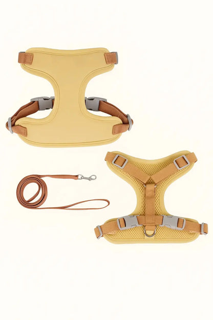 Harnais et Laisse pour Chat Lifecatlike