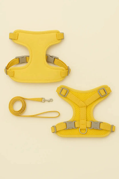 Harnais et Laisse pour Chat Lifecatlike