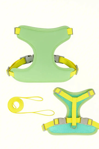 Harnais et Laisse pour Chat Lifecatlike