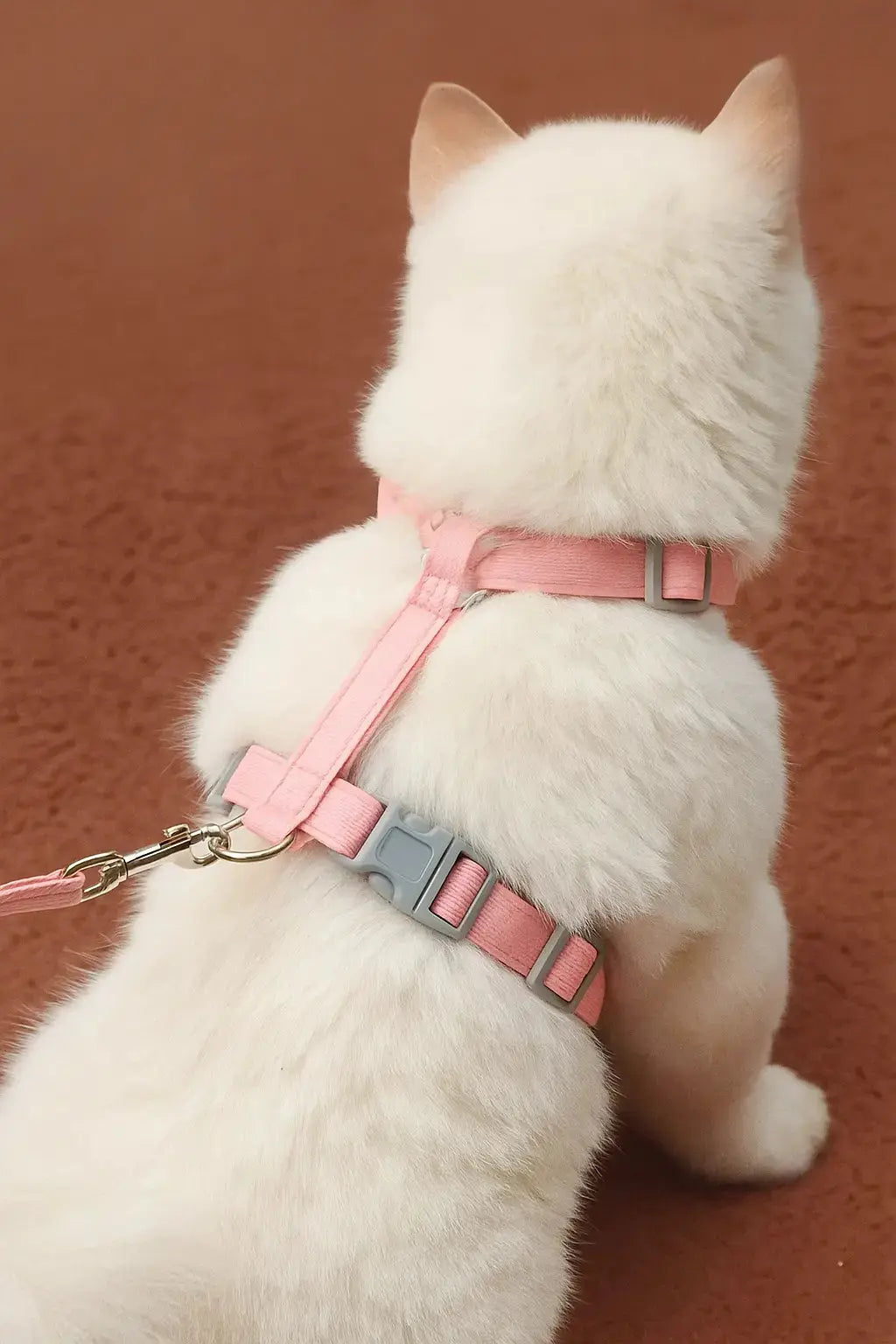 Harnais et Laisse pour Chat Lifecatlike