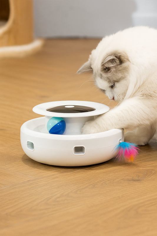 Jouet pour chat automatique 2-en-1