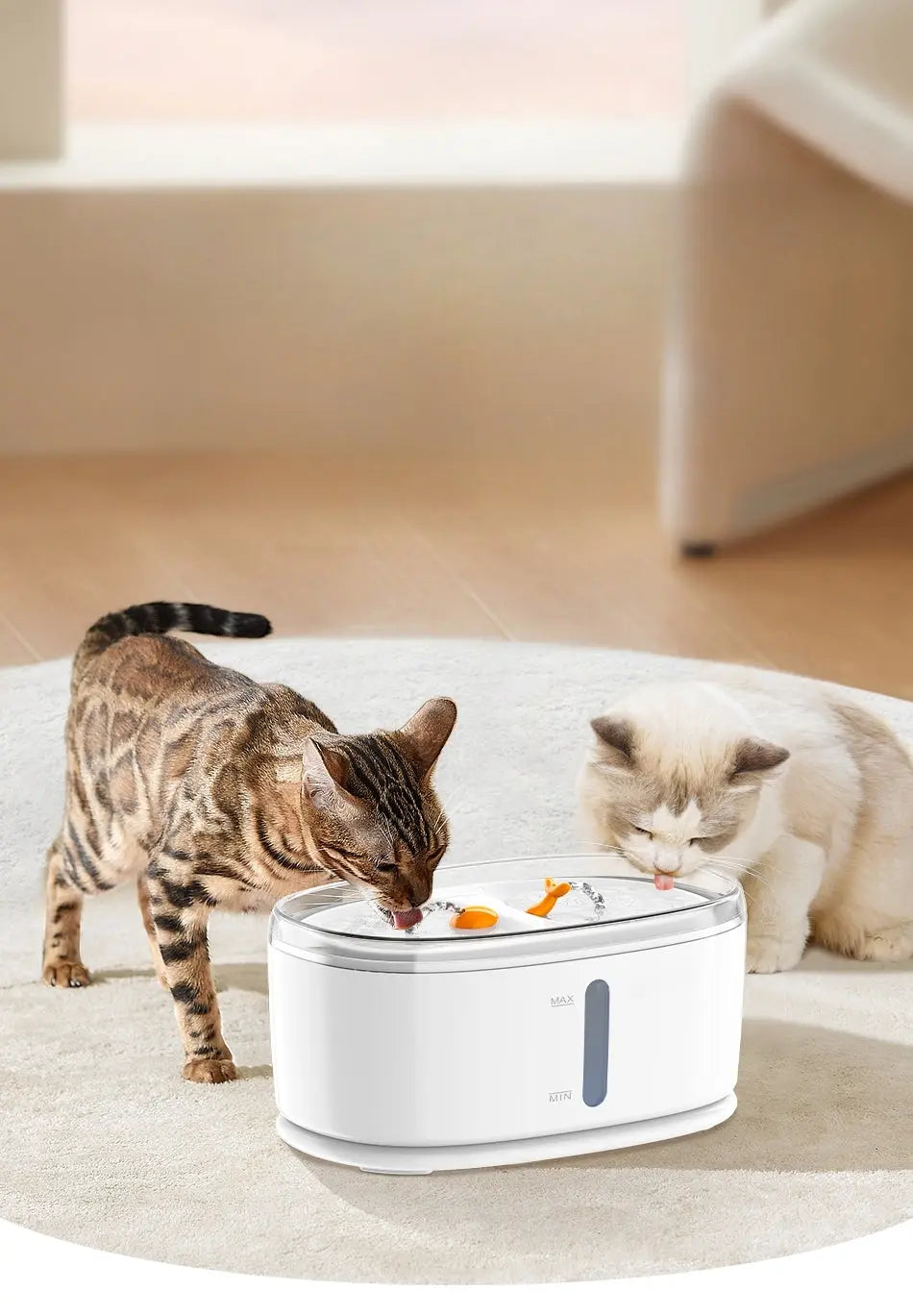 Fontaine à eau pour chat avec pompe sans fil