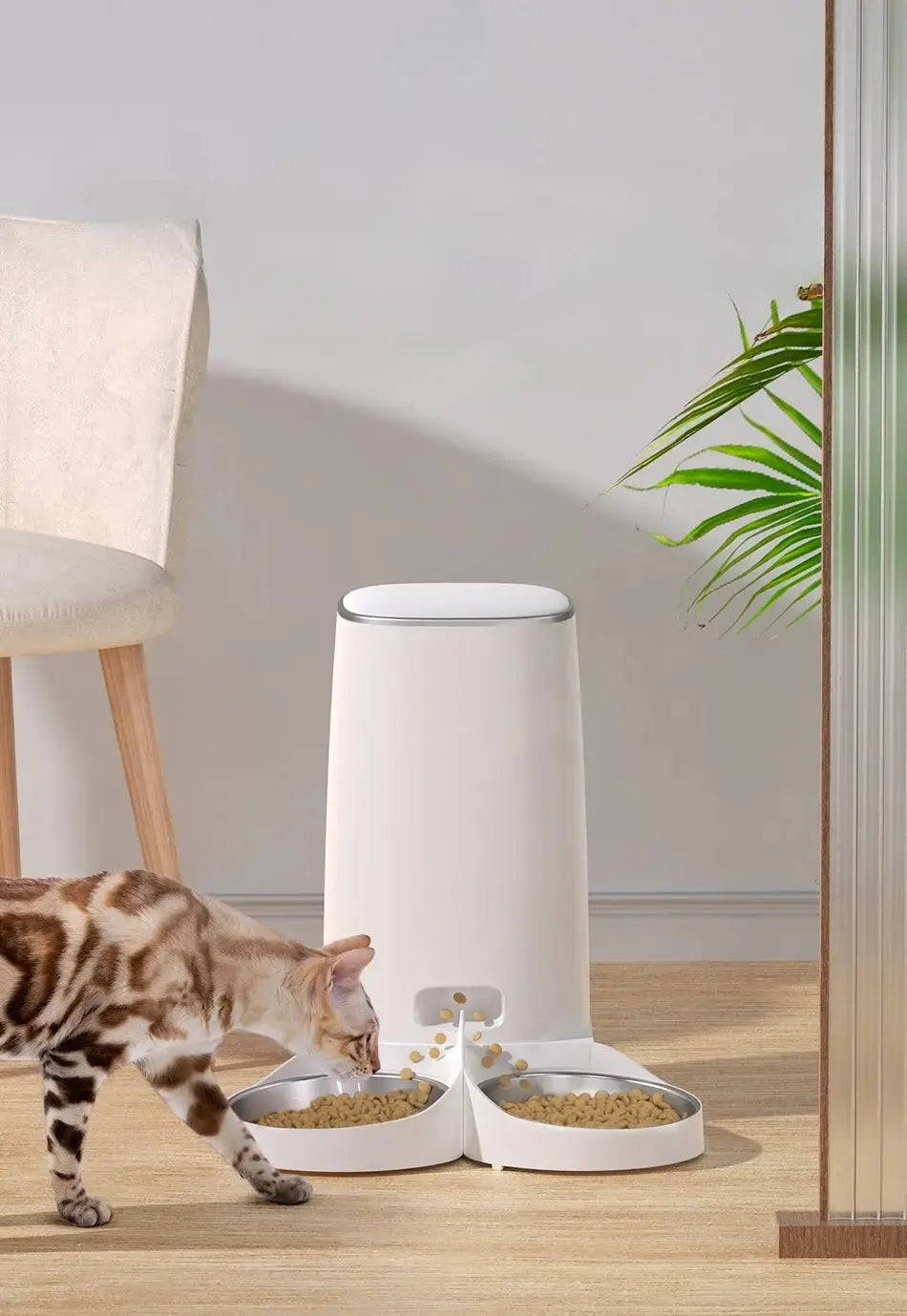 Distributeur de croquettes intelligent pour chats 4L WiFi Lifecatlike