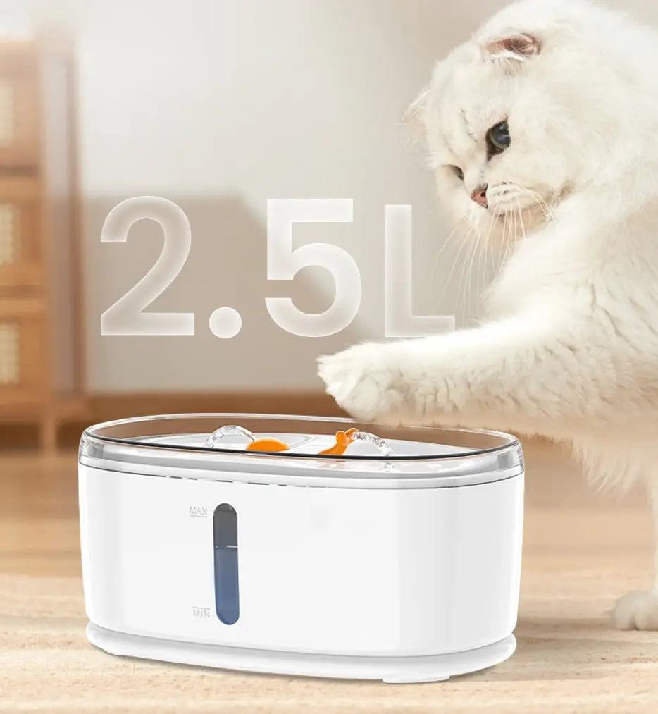 Fontaine à eau pour chat avec pompe sans fil