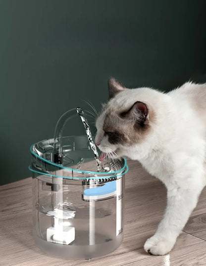 Fontaine à eau automatique 2L avec capteur