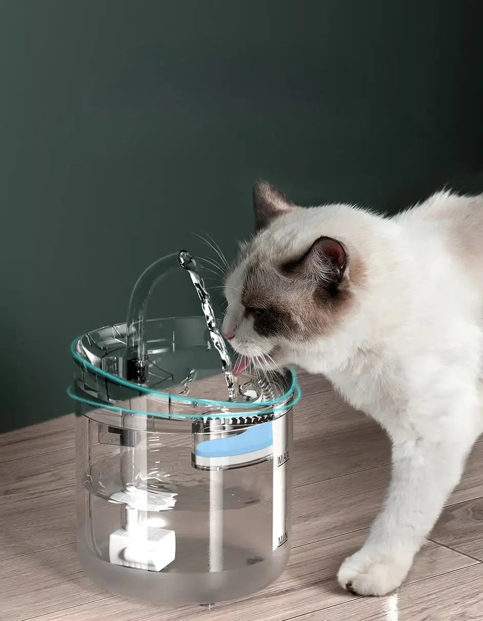 Fontaine à eau automatique 2L avec capteur Lifecatlike