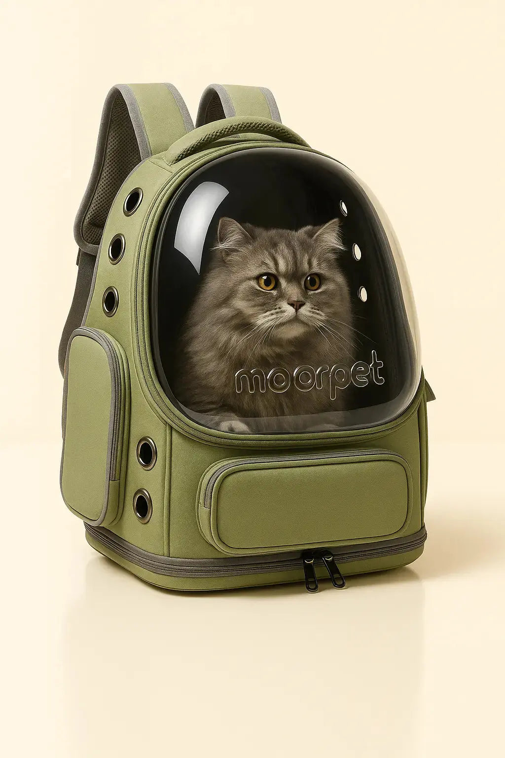 Sac pour chat Transparent pour Chat Lifecatlike