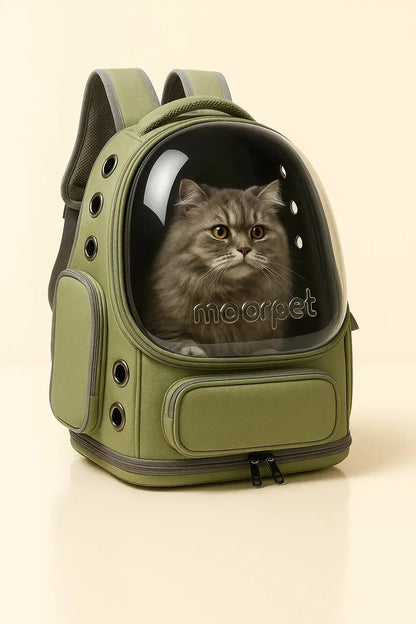 Sac pour chat Transparent pour Chat Lifecatlike