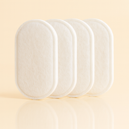 Lot de Filtres pour Fontaine à eau en acier inoxydable 2L