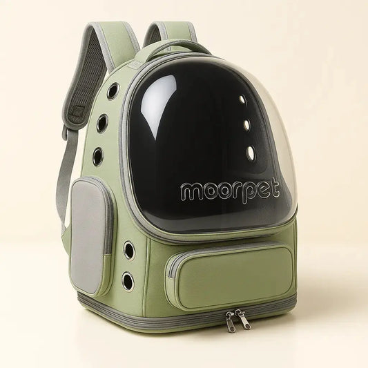 Sac pour chat Transparent pour Chat Lifecatlike