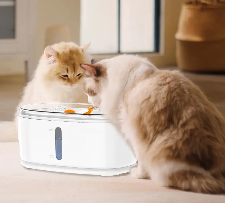 Fontaine à eau pour chat avec pompe sans fil