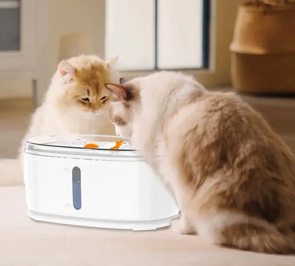 Fontaine à eau pour chat avec pompe sans fil Lifecatlike