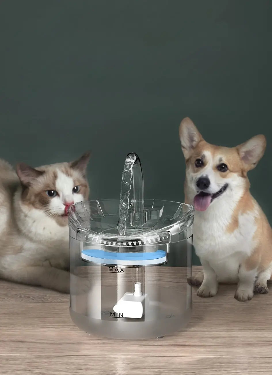 Fontaine à eau automatique 2L avec capteur